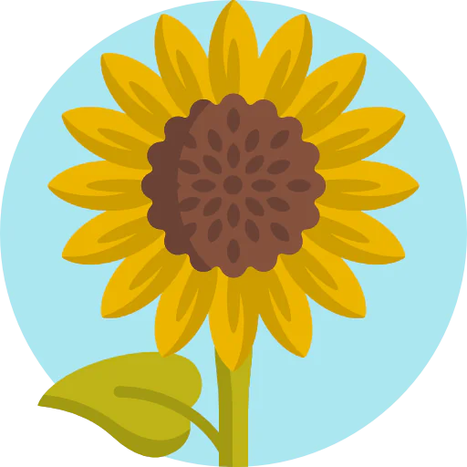 Sunflower icon