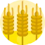 Rye icon 64x64