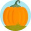 Pumpkin icon 64x64
