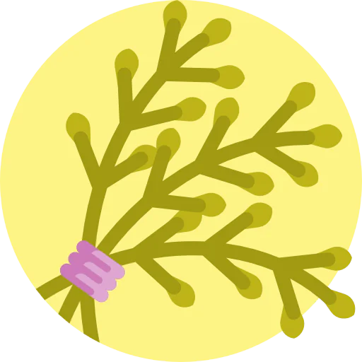 Herb icon
