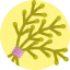 Herb icon 64x64