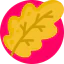 Oak leaf іконка 64x64