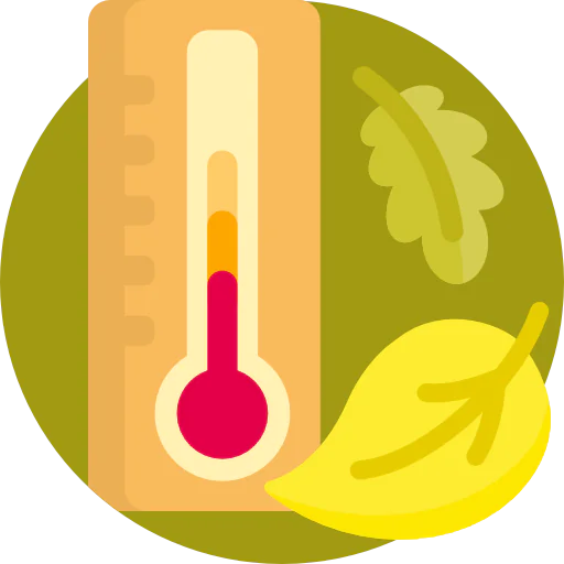 Thermometer icon