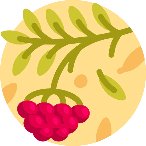 Rowan icon