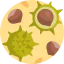 Nut icon 64x64