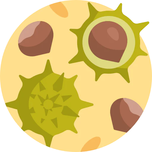 Nut icon