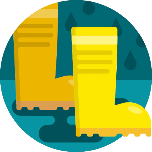 Boots icon