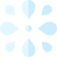 Splash icon 64x64