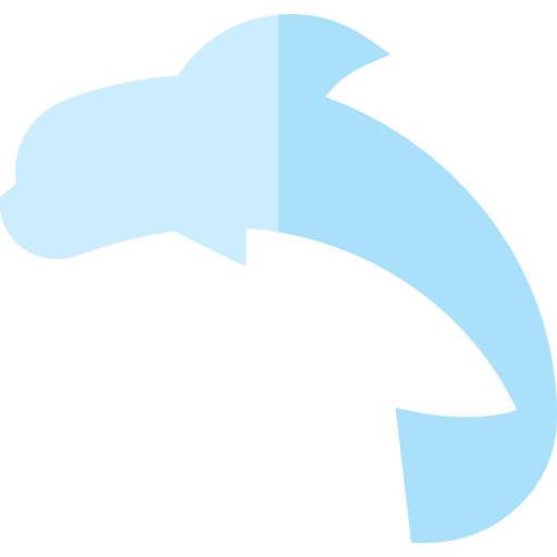 Dolphin icon