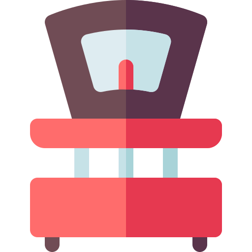 Scale icon