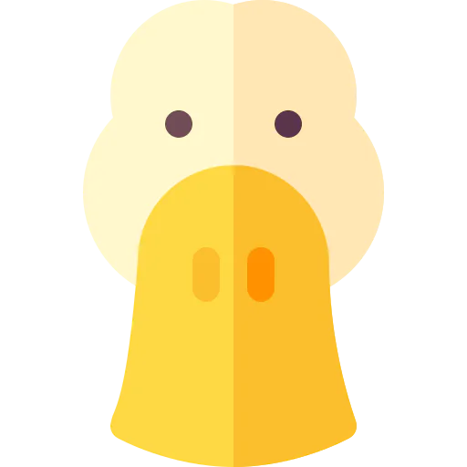 Duck icon