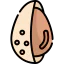Almond icon 64x64