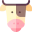 Cow icon 64x64