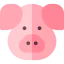 Pig icon 64x64