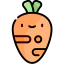 Carrot icon 64x64