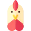 Chicken icon 64x64
