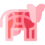Beef icon 64x64