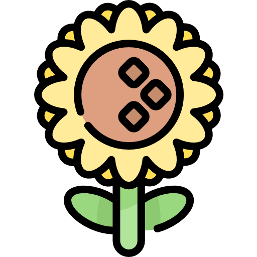 Sunflower icon