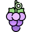 Grapes icon 64x64