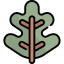Leaf icon 64x64