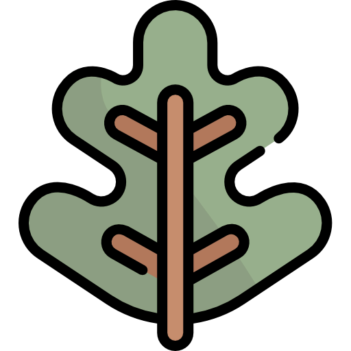 Leaf icon