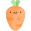 Carrot icon 64x64