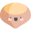 Лесной орех иконка 64x64