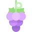 Grapes icon 64x64