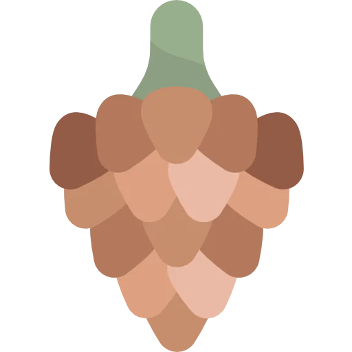 Pine cone icon