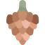 Pine cone icône 64x64