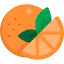 Orange icon 64x64