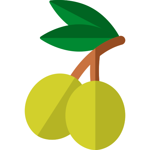 Olive icon