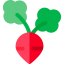 Turnip Ikona 64x64