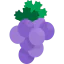 Grapes icon 64x64