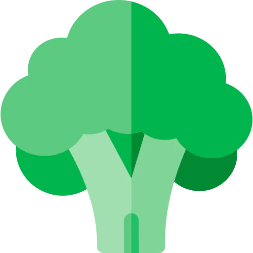 Broccoli icon
