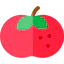 Tomato icon 64x64