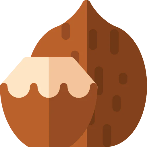 Coconut icon