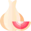 Onion icon 64x64