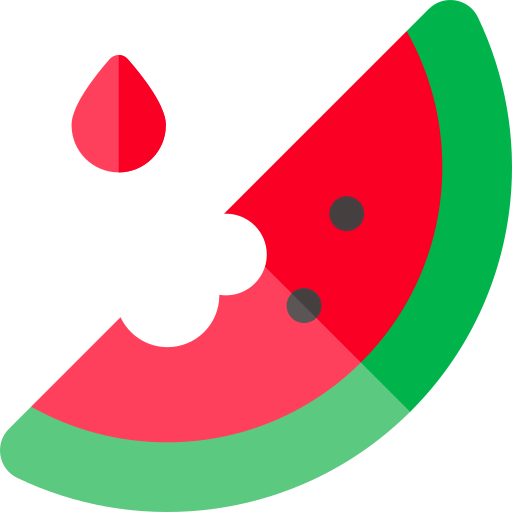Watermelon icon