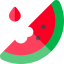 Watermelon icon 64x64