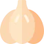 Garlic icon 64x64