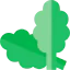 Spinach biểu tượng 64x64