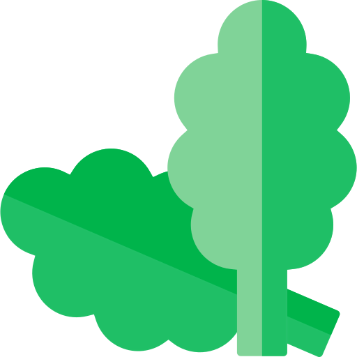Spinach icon