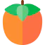 Persimmon 상 64x64