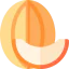 Cantaloupe icon 64x64