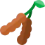 Tamarind icon 64x64
