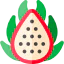 Dragon fruit icon 64x64