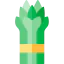 Asparagus icon 64x64