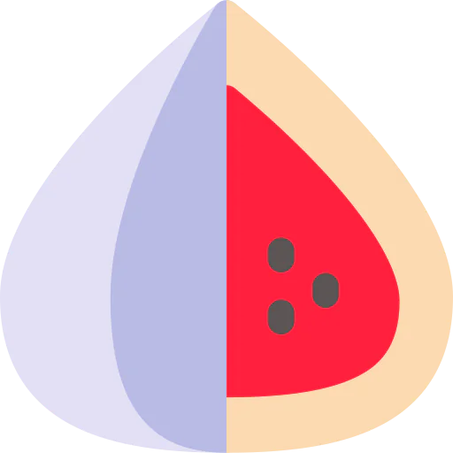 Fig icon