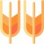 Corn icon 64x64